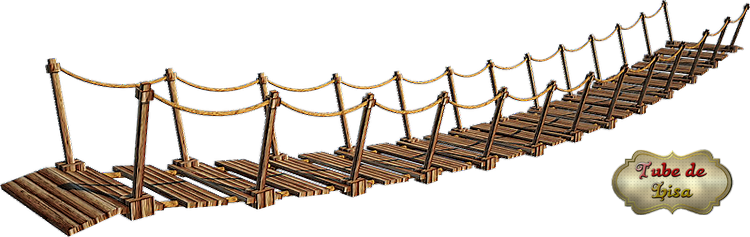Joli pont suspendu