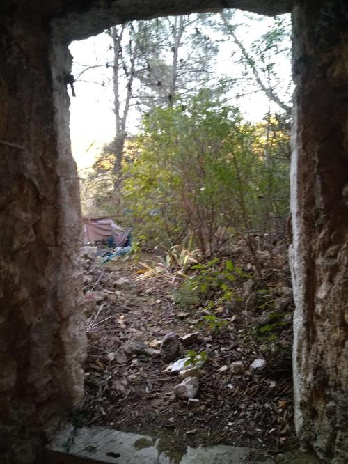 Campement abandonné, rebus de cyclo : Forêt à l'Orée de la ville