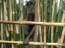 l Afrique dans la peau, l avancement des travaux des heros!