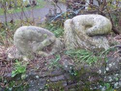 La randonnée du 13 novembre "TSN" de Thury-Harcourt au Vey