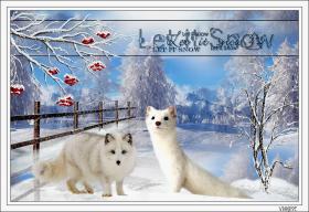 Violinegraphisme - 3