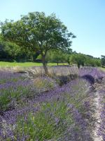 Lundi ... en une, deux, trois, quatre, cinq, ... ou plus en photos .