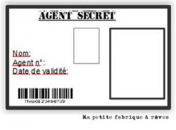 Mission top secrète: organiser un anniversaire agent secret