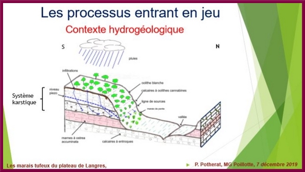 "Les marais tufeux du Plateau de Langres", une conférence proposée par la Société Mycologique du Châtillonnais