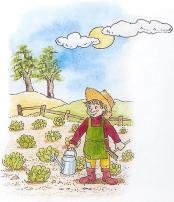 trucs au jardin
