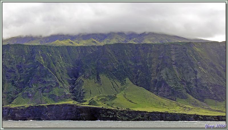 Après le champ de patates, nous arrivons à Cave Point, avec ses "résidences secondaires" et ses vaches en liberté - Tristan da Cunha