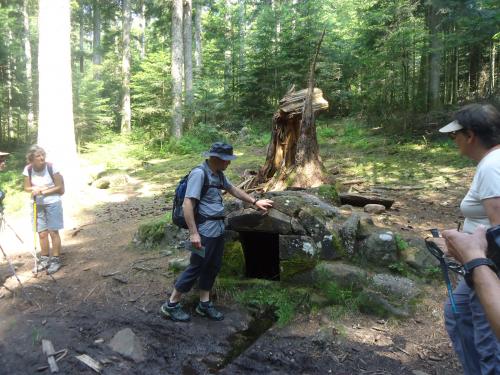"Séjour dans Les Vosges" - 6 au 13 juin 2015