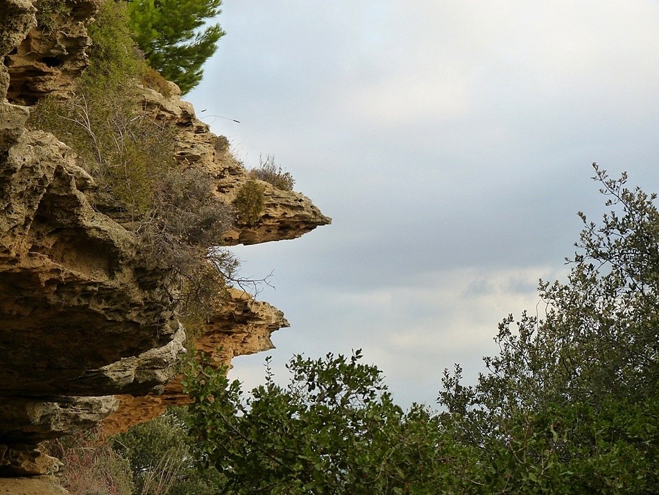 sur le sentier (6)