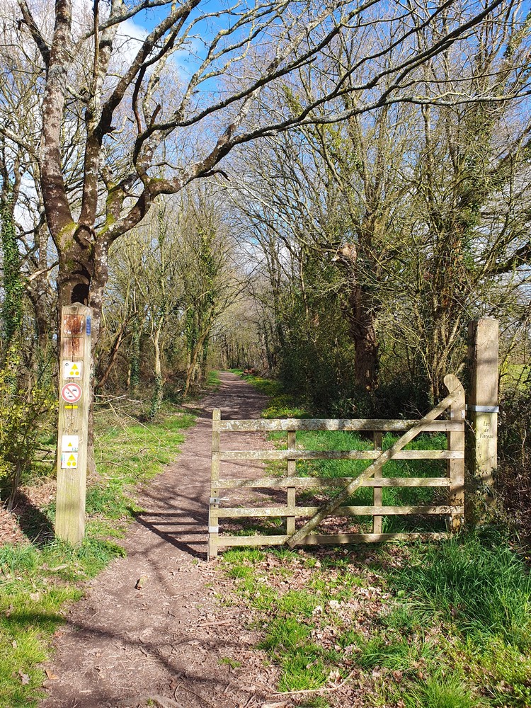 Chemin de berge