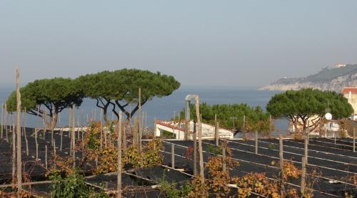 2ème jour à Sorrento