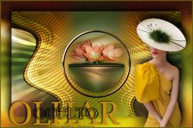 Olhar Oculto