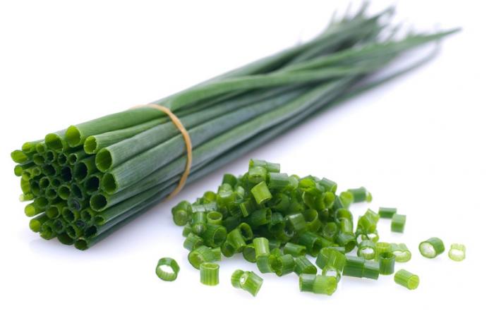 Légumes du mois d'Août