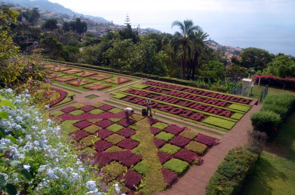 Circuit en étoile à Madère : Funchal, son marché et son jardin botanique