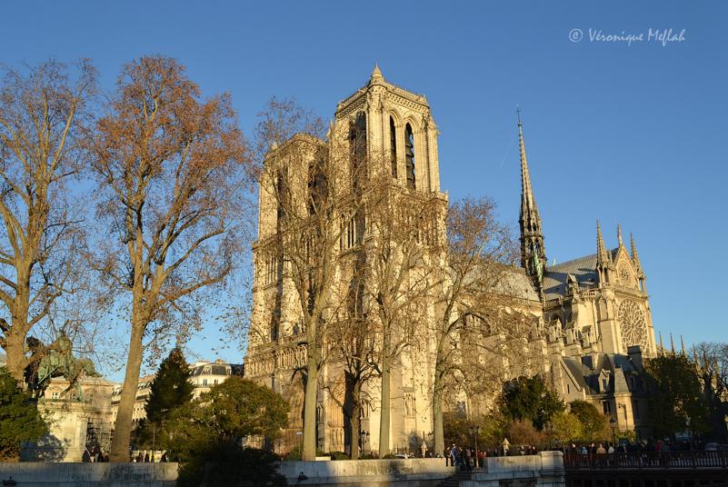 Histoire de Notre-Dame de Paris et une petite question ...