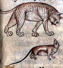 Les Chats suppôts de Satan