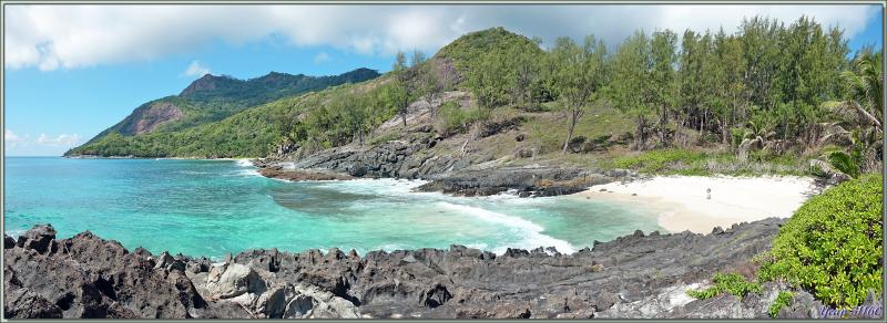 Départ pour une marche dans la forêt, impénétrable hors sentier, vers la Pointe Ramasse-tout et la plage d'Anse Cimetière - Ile Silhouette - Seychelles