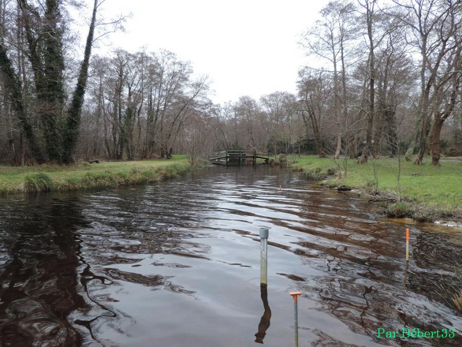 le lac Léon dans les Landes (40)