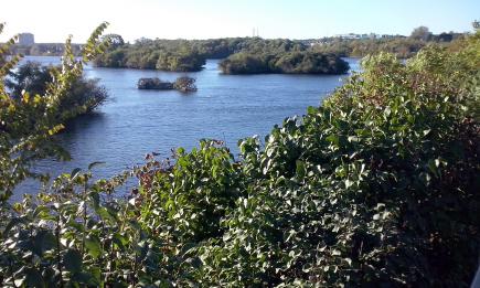 Autumn in Aylmer and Ottawa VIII