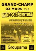 Entrainement dimanche 3 mars 2019