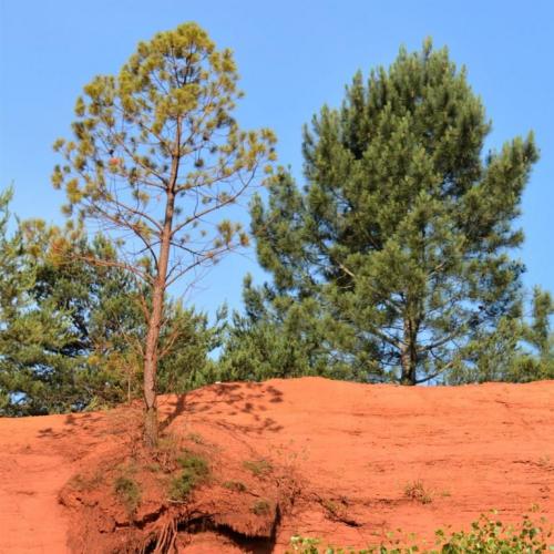 Visite du Colorado Provençal à Rustrel
