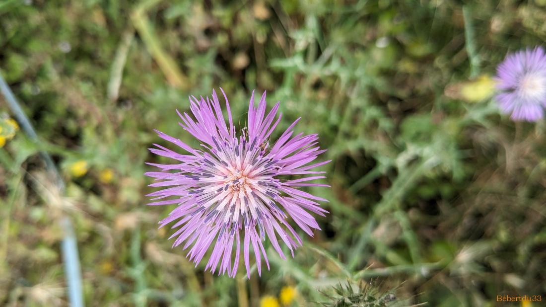 ballade à Vias