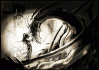 Gif_053.gif