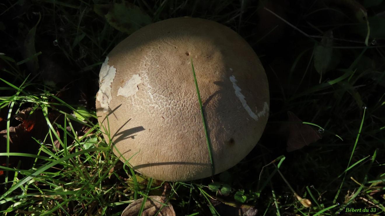 mes photos plaisir d'Octobre 