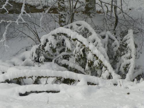 L'hiver