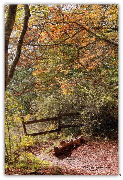L'Automne au grand Colombier