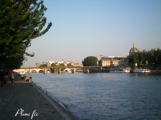 Image67.jpg