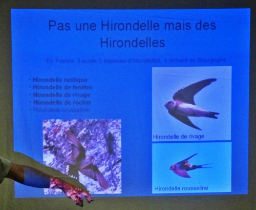 Une conférence de la LPO à Marcenay...
