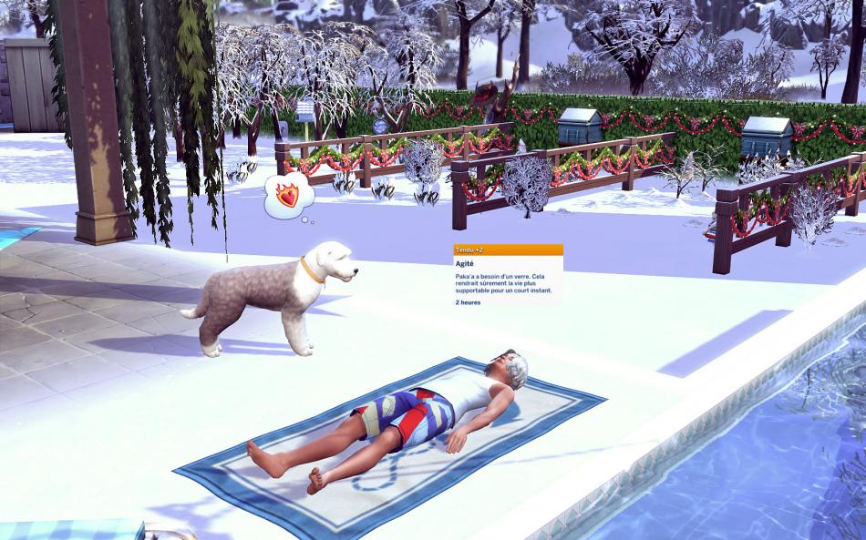 [CALF] Huver 3 - Semaine 15 - Jours 104 à 107