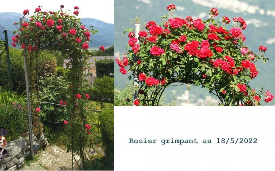 Mon univers au 17/5/2022