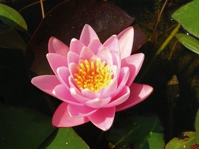 Image35.jpg
