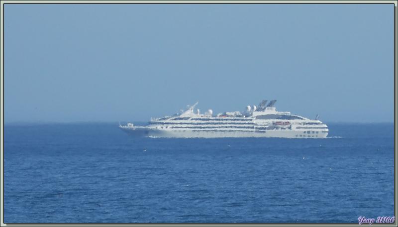 Au loin, nous voyons un navire à l'allure du Lyrial. Photo prise au 1200 mm, effectivement c'est bien lui qui poursuit son périple vers Durban - Le Cap - Afrique du Sud