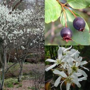 Une passion envahissante...