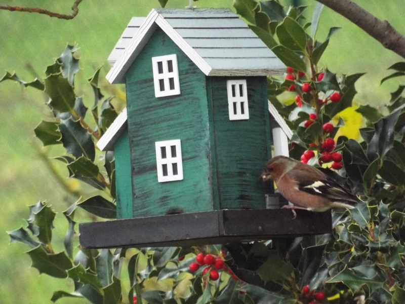 Les visiteurs au jardin ...