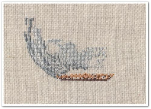 Le chat et le poisson rouge