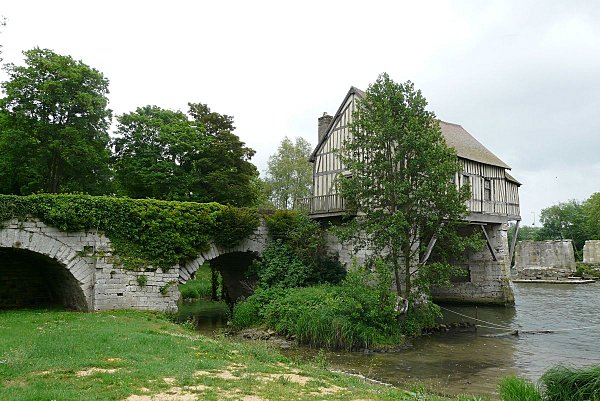 VERNON -2