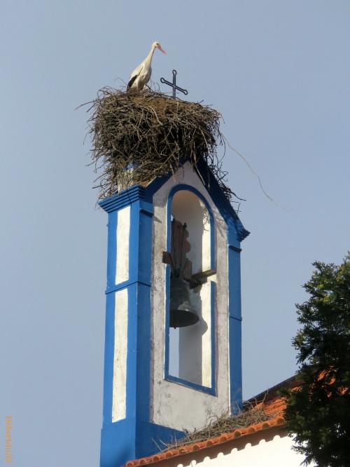 Comporta  et Troia 