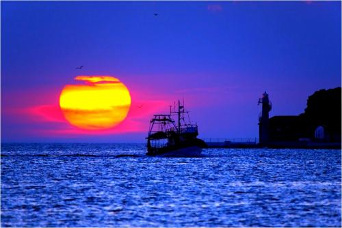 Le fil de pêche de Denys