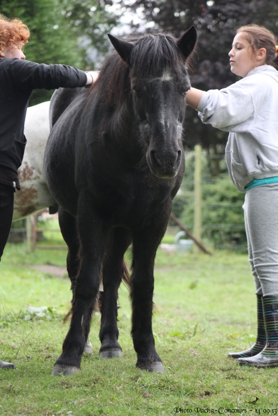 doudou & black 14/09/13