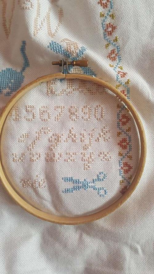 SAL Sampler Traditionnel 2017 (12)