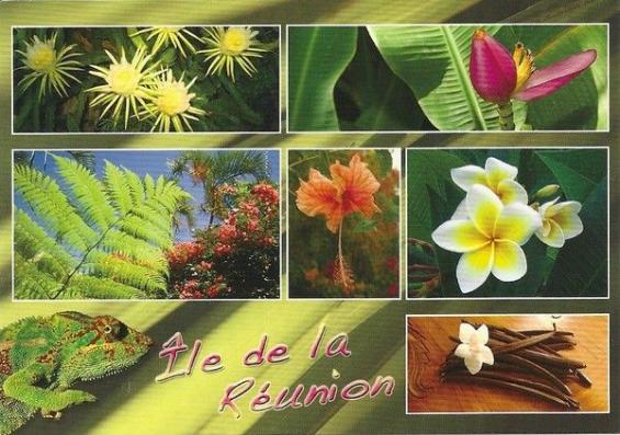 ღ꧁ღ╭⊱ꕥ LA GUYANNE ꕥ⊱╮ღ꧂ღ