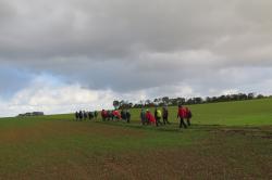 La randonnée du 5 novembre à Thaon