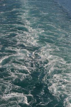 ... surtout, ne pas faire de vagues...
