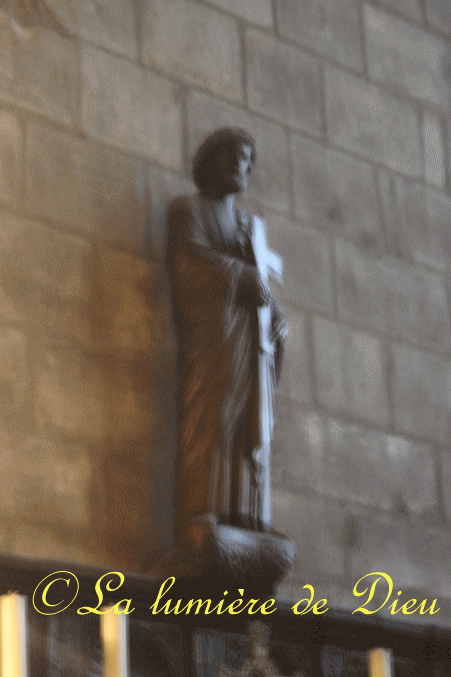 La cathédrale Notre-Dame de Paris