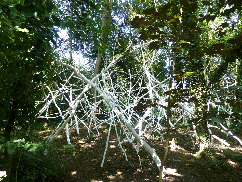 Une île des Hortillonnages