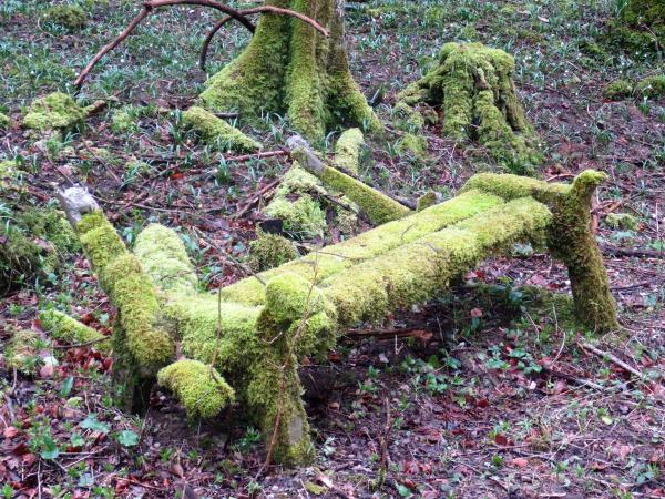 LE DÉSESPOIR EST ASSIS SUR UN BANC