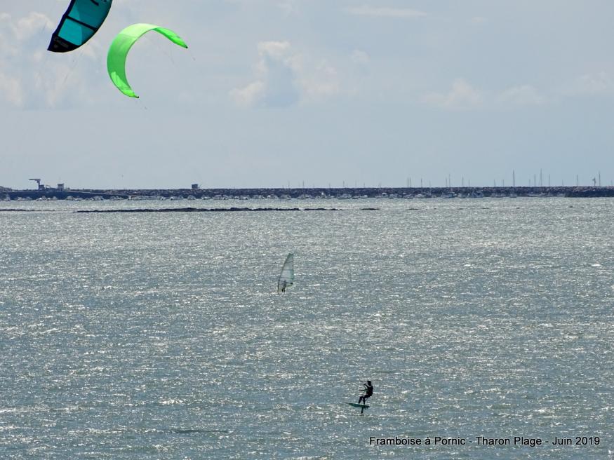 Journée d'été à Tharon plage  (44)